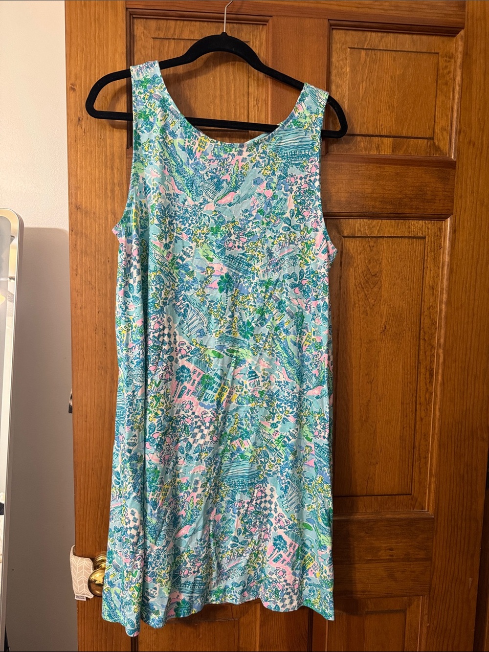 Lilly Pulitzer South Carolina Blue Pink Green Tropical Print Sleeveless Dress